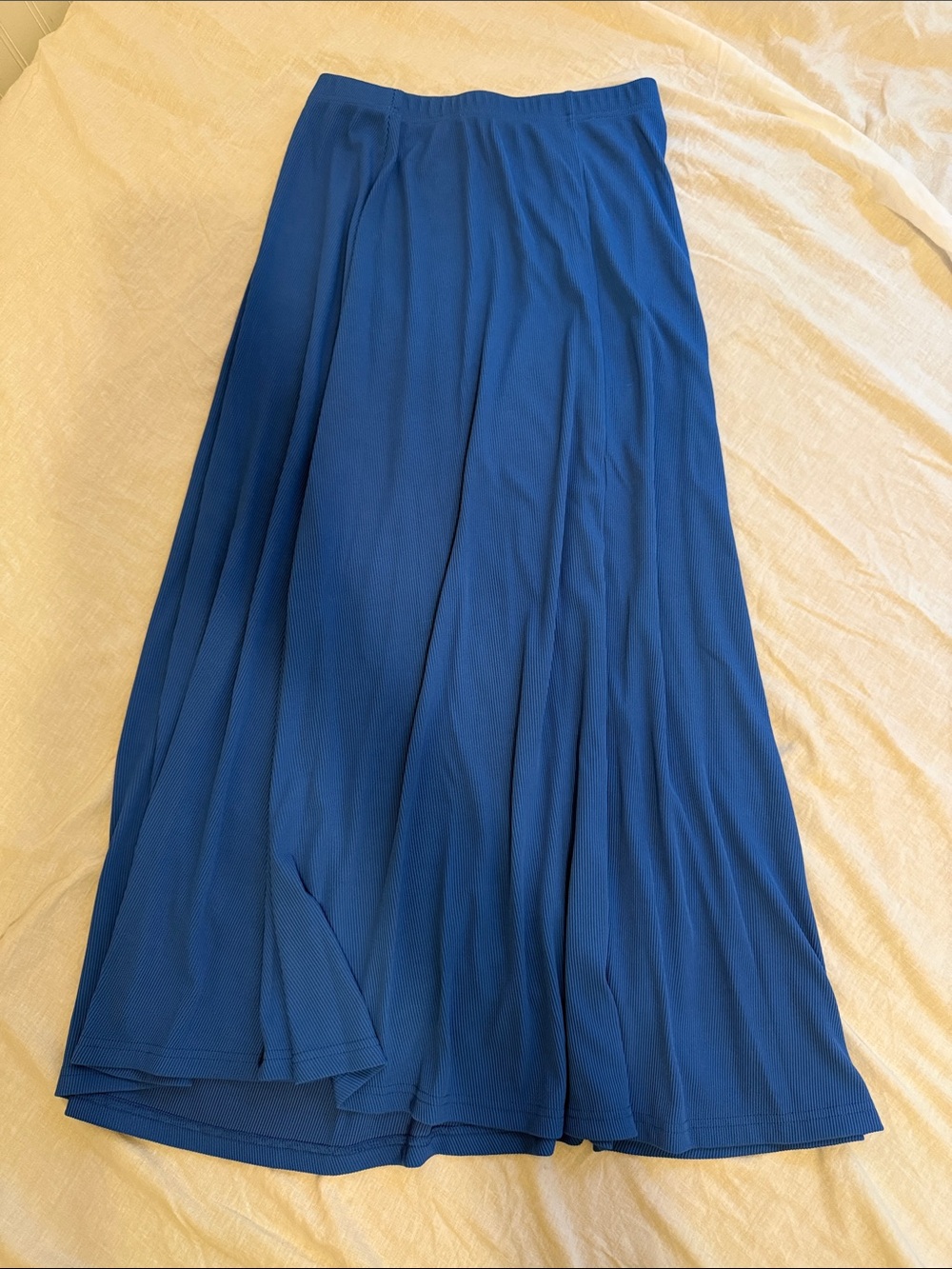Women's Blue Pleated Maxi Skirt